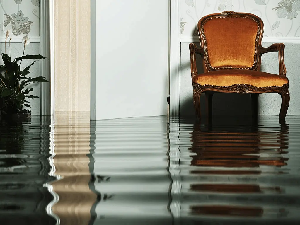 Flood Restoration Auckland response in Auckland